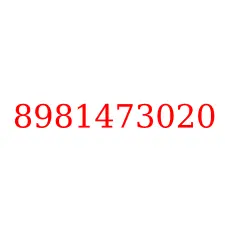8981473020