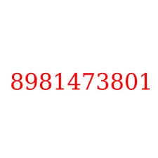 8981473801