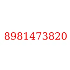 8981473820