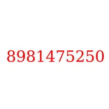 8981475250
