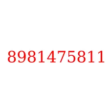 8981475811