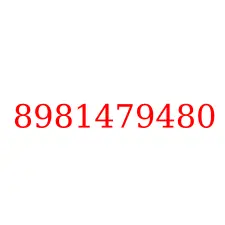 8981479480