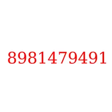 8981479491
