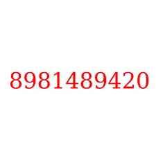 8981489420