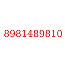 8981489810