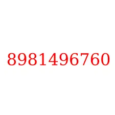8981496760