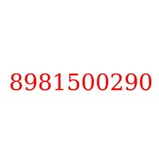 8981500290