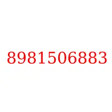 8981506883