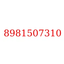 8981507310
