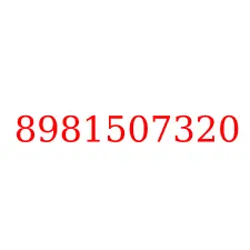 8981507320