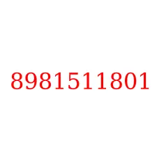8981511801