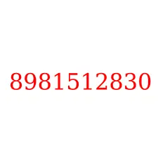 8981512830