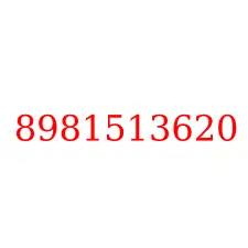8981513620