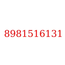 8981516131
