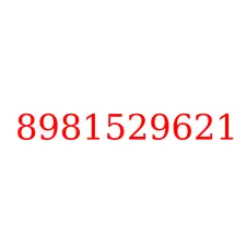 8981529621