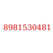 8981530481