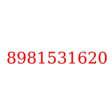 8981531620