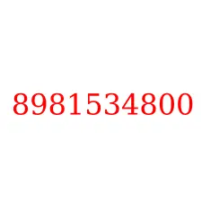 8981534800