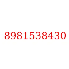 8981538430