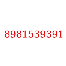 8981539391