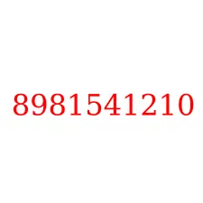 8981541210