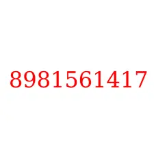 8981561417