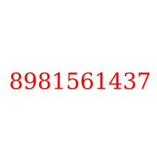 8981561437