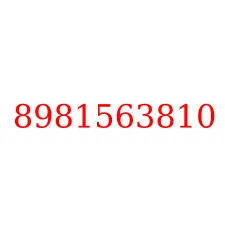 8981563810