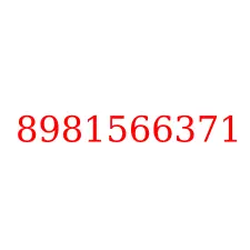 8981566371