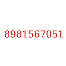 8981567051