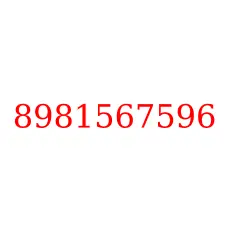 8981567596