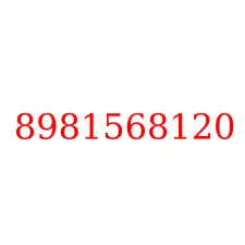 8981568120
