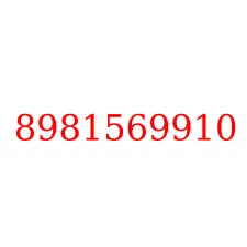 8981569910