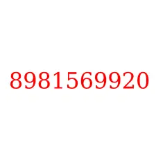 8981569920