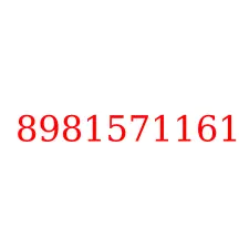 8981571161