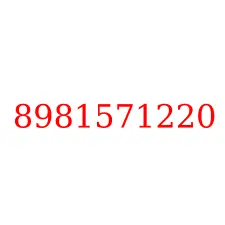 8981571220