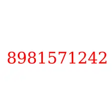 8981571242