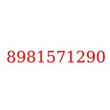 8981571290