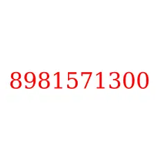 8981571300