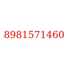 8981571460