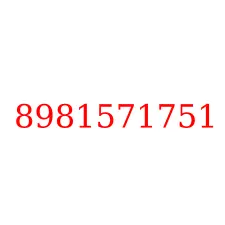 8981571751
