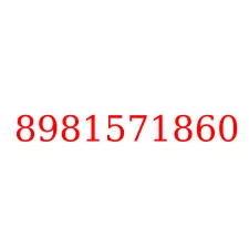 8981571860