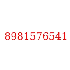 8981576541