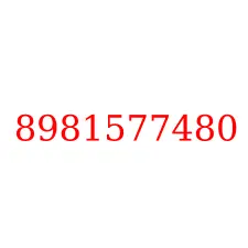 8981577480