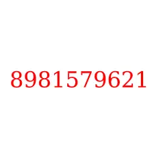 8981579621