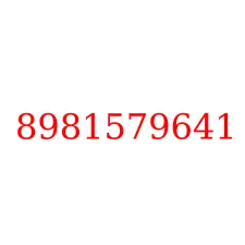 8981579641