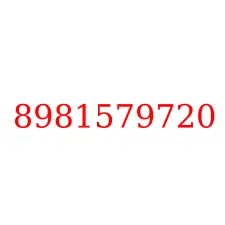 8981579720