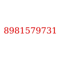 8981579731
