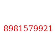 8981579921