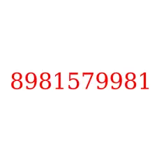 8981579981
